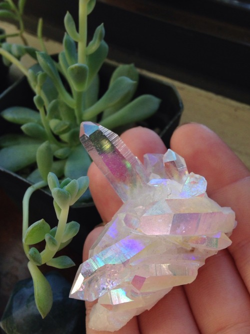 lavenderwaterwitch - Angel Aura Quartz and my over grown...