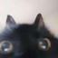 ungabungatime