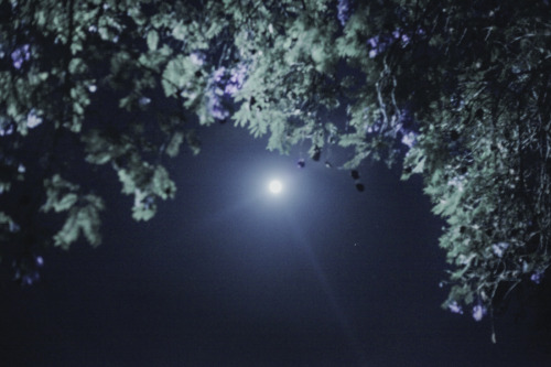 nataliekucken:  the moon when it was important to me from february, march, april, may, and june  