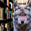 depressed-coyote