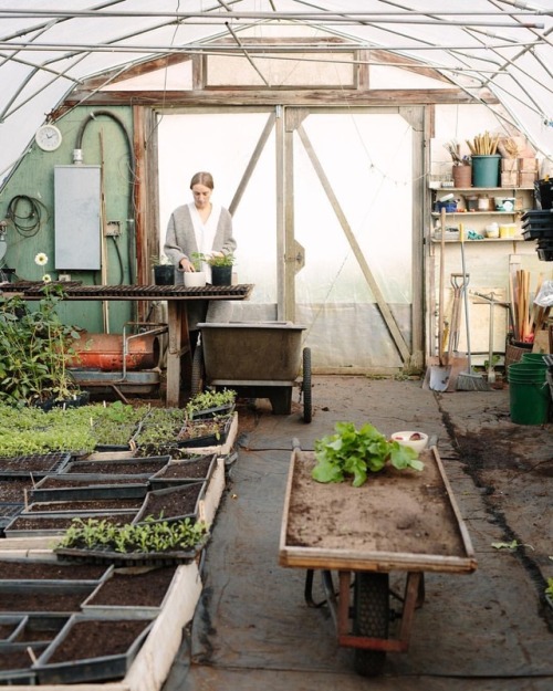 Sundays GreenHouse