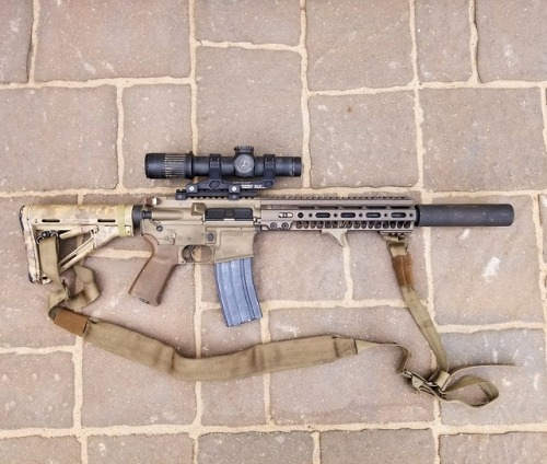 pumpingironspittingbrass: 12.5&quot; w/ Allen Engineering AEM2 suppressor Source