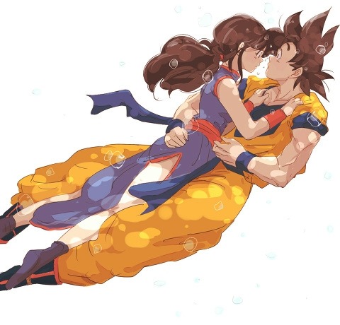 Goku and chi chi love