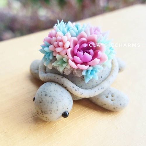 Sex sosuperawesome: Succulent Turtles  Claybie pictures