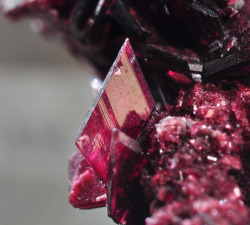 ggeology:  Erythrite  