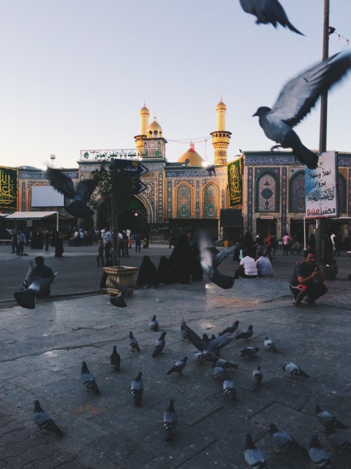 salomjanam:2016Karbala, oh Karbala!