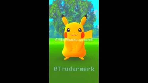 Pokemon Go players in the next few days could be trying to catch the rare, Shiny Pikachu which is ru