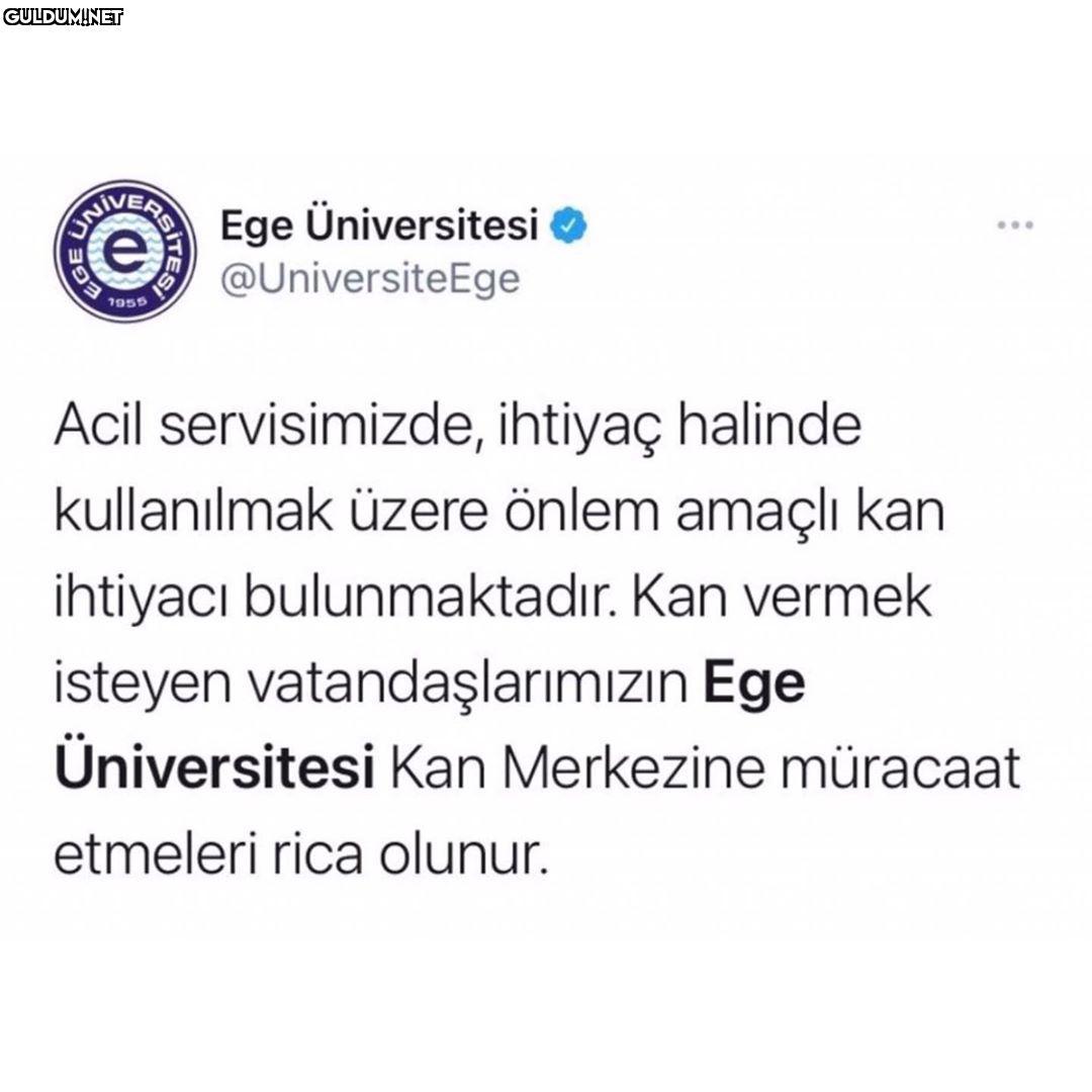 ANA Ege Üniversitesi...