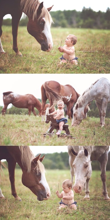 acountrygirlblog: How adorable is this???