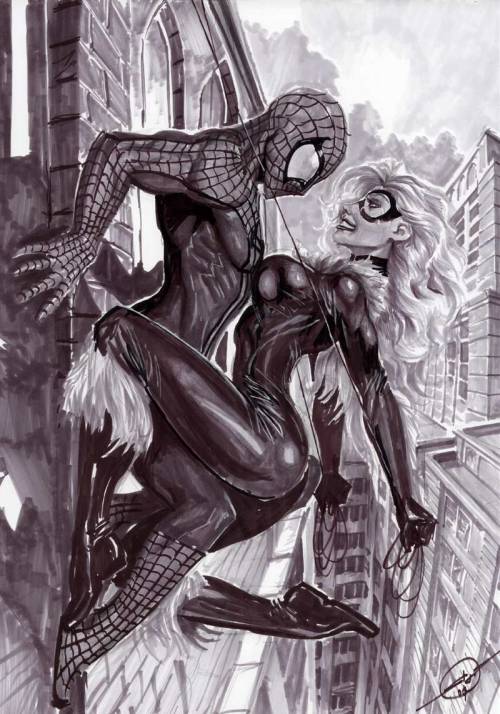 Sex senseorsensuality:  spiderman black cat by pictures