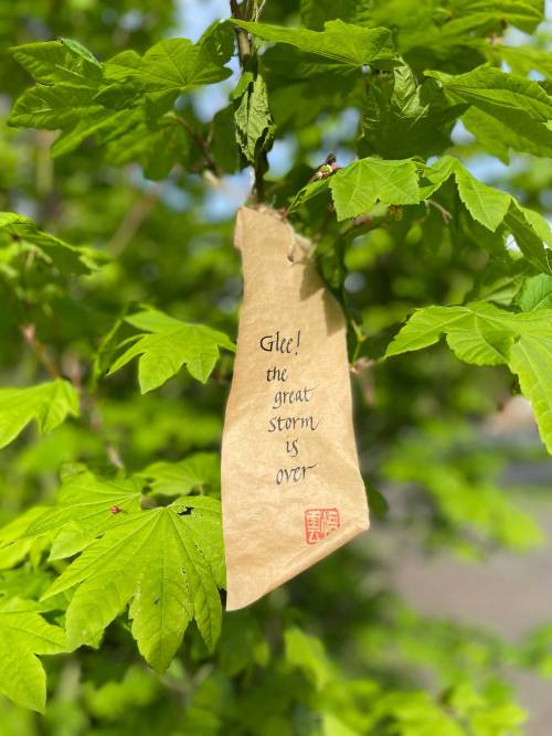 Were you an aspiring calligrapher at Reed? Did you love walking through campus and seeing the weathe