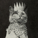 cats-fandom-files - Cat