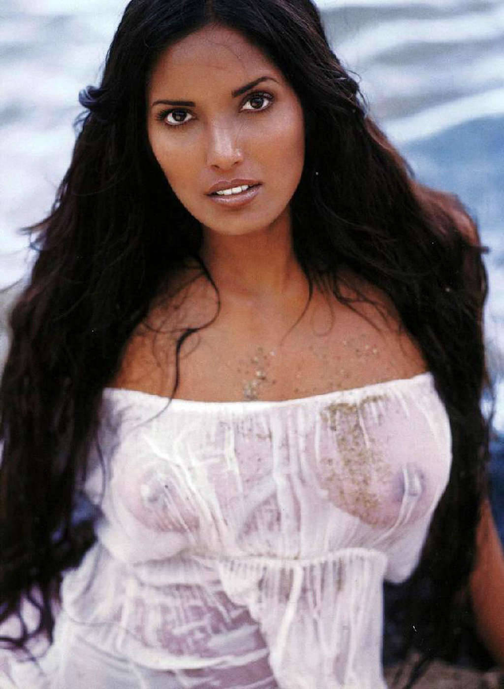 favorcelebs:  Padma Lakshmi