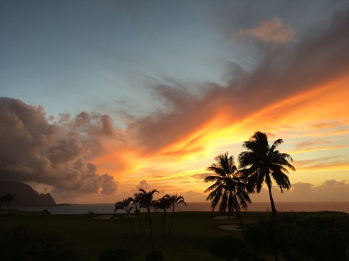 sunnybeam: Quality Hawaii sunset no. 2 // 6.26.16