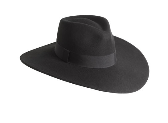 juliesjournee:  My Inspirations de la Journée Fedora hat H&amp;M New Icons Collection, Santiga