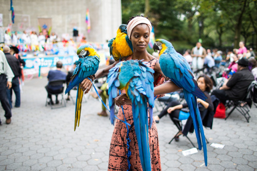 Porn ravenguild08:  not her birds. central park, photos