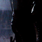 netflixdefenders: You can’t mask that ass. I’d know it anywhere. TWO DAYS UNTIL DAREDEVIL SEASON 3 