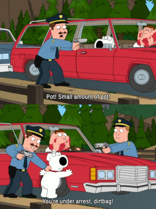 Sex iloveyoulikekanyeloveskanye:  family guy pictures