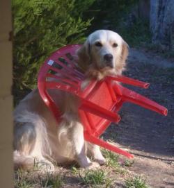 maeku:  you told me to take a seat so i have  