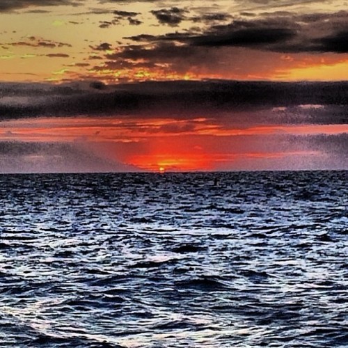 life-in-travel:  Sunset on the rough sea, Cozumel Mexico #windyday #familyvacation #thanksgivingvaca