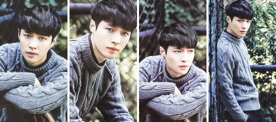 fan-qins:    Season greeting 2016 (compilation Chinese version)   