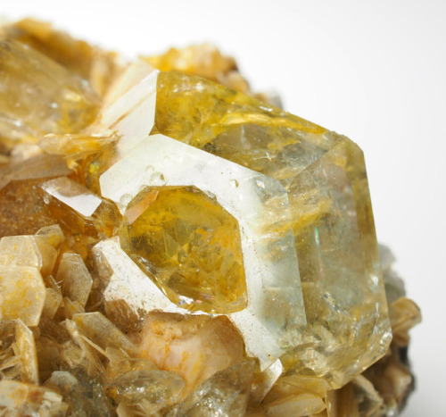 Goshenite on Muscovite - Ping Wu, Sichuan Province, China