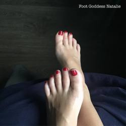 footgoddessnatalie:  Driving Dave crazy with my toes :-) 🔸www.footgoddessnatalie.com🔸 #foot #footlovers #footmodel #bestfeet #feet #sexyfeet #prettyfeet #womensfeet #femalefeet #toes #rednails #prettytoes #polishednails #legs #footfetishnation #top10feet