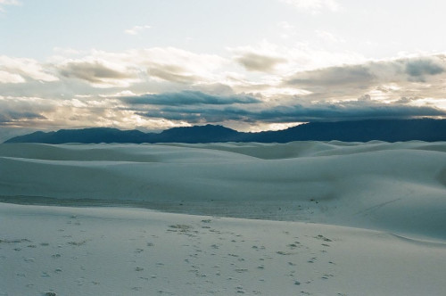 F l e e t i n g  M a g i c White Sands National Monument, NM | February 2020Images shot by me (dcci)