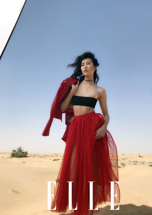 LIU WEN wearing CHRISTIAN DIOR SPRING 2017 READY-TO-WEAR for ELLE China March 2017