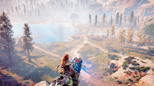 HZD Week