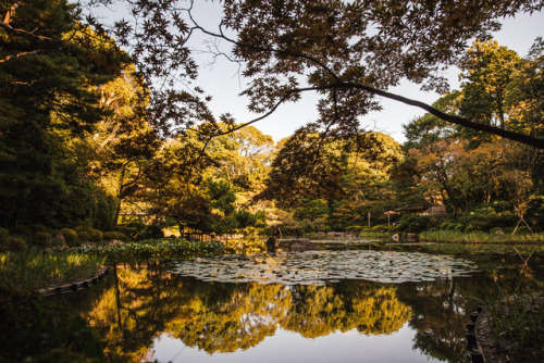 Tuesday 3rd October 2017. 16:00 Kyoto Japan.Heian-jingu Shrine’s gardens will always be one of my fa