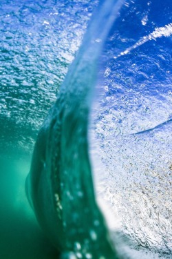 Kingdom Of The Ocean