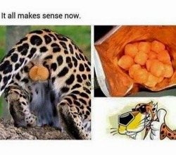 Cheetos