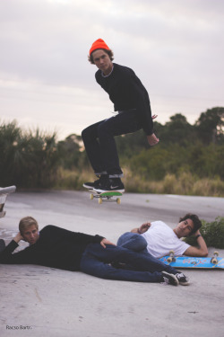 al-pha:  skate blog