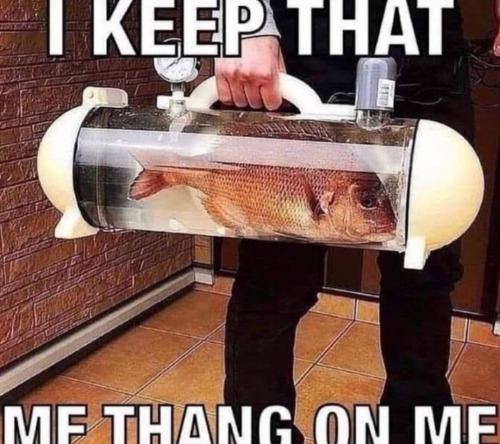It's Fishposting Tuesday Everyone !!