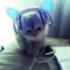 number1-catfan