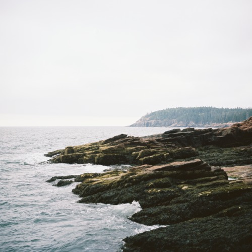 Acadia National Park | Film www.stephensutterphotography.com/