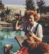 dianapowell:  Rest in Peace Lucille Désirée Ball | August 6th, 1911 – April