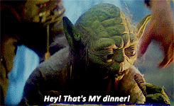 cooliogirl101:  oblwankenobi:  Alderaan? I’m not going to Alderaan. I’ve gotta