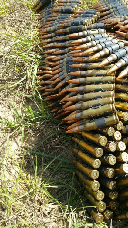 medic981:Happiness is 800 rounds of 7.62 on a single belt.