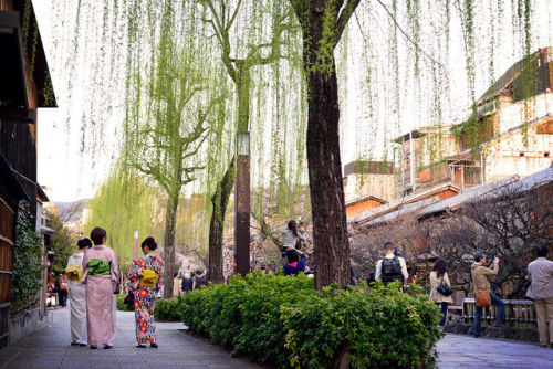 hi-technique - Japan Kyoto . 日本.京都 Gion 傍晚時的祇園.白川南通 DSC_7552 by...