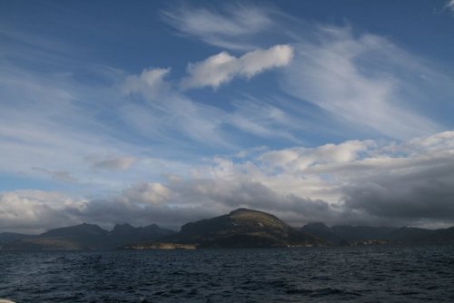 letargos:  Isla de los Estados, Argentina.