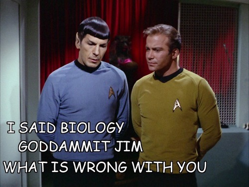 vulcans-angels-heroes:BIOLOGY AS IN REPRODUCTION?Yes.WHAT?YESWHATT??