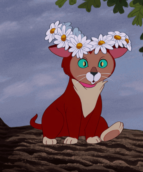 adventurelandia:Alice in Wonderland (1951)