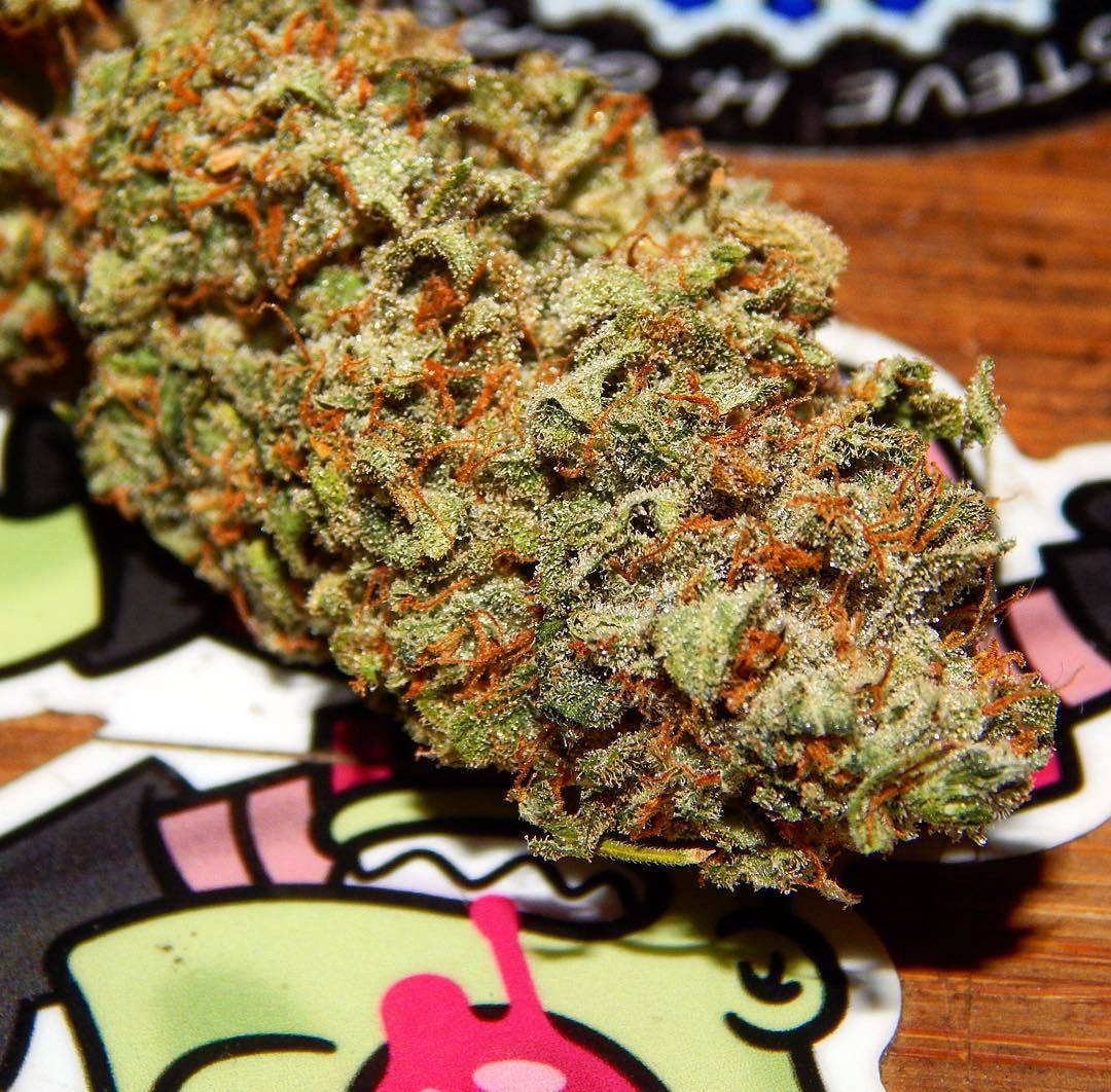 weedporndaily:   by @medicalpandas