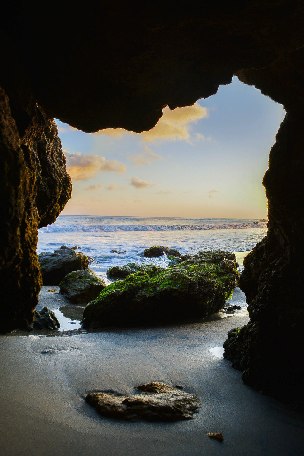 in-apricity:  Out From Within by Sara Conlan