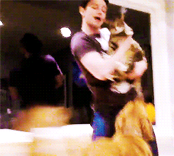 kurtsies:hrhchriscolfer: Just found out about the #PCA award! Three years in a row?!?! Thank you all