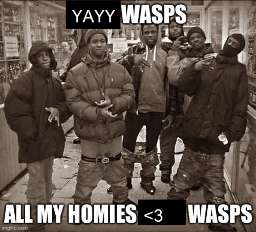 chipcookies:new hobby: editing anti-wasp memes to be pro-wasp. spreading my waspaganda  I love 