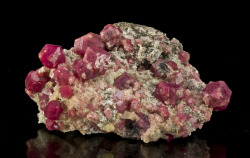 fuckyeahmineralogy:  Grossular, Uvarovite,