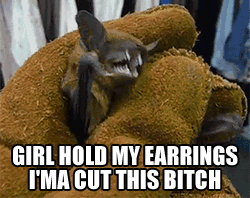 tenaflyviper:  >post bats>lose a follower